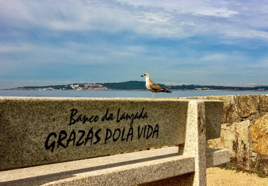 Vut "O Pazo" Sanxenxo Os Espera Apartment Luaran gambar